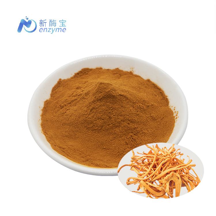 Novenzyme Wholesale Organic Cordyceps Militaris Mushroom Extract Powder