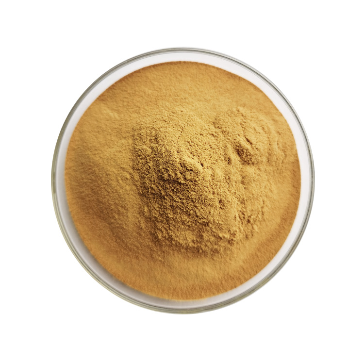 Water Soluble Cordyceps Sinensis Yarsagumba Extract Powder