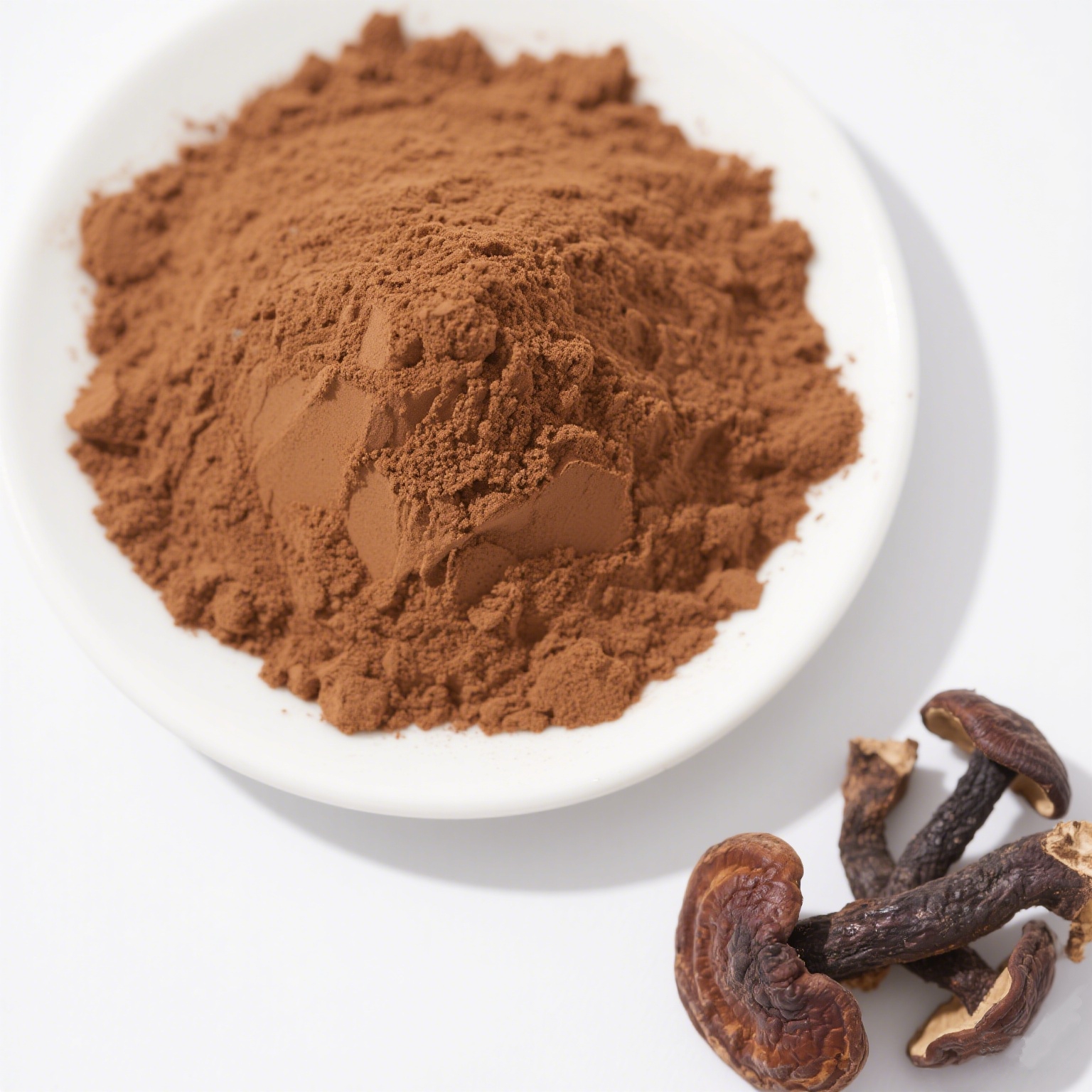 OEM Bulk Factory Supply of Reishi Mushroom Extract Powder 10:1 Private Label Reishi Mushroom