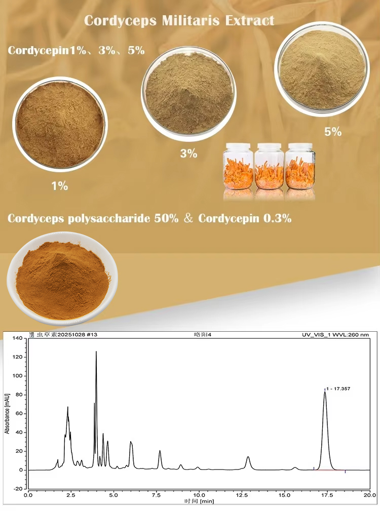 Organic Mushroom Cultivation Certificate