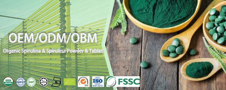 Green Spirulina Powder Header Banner