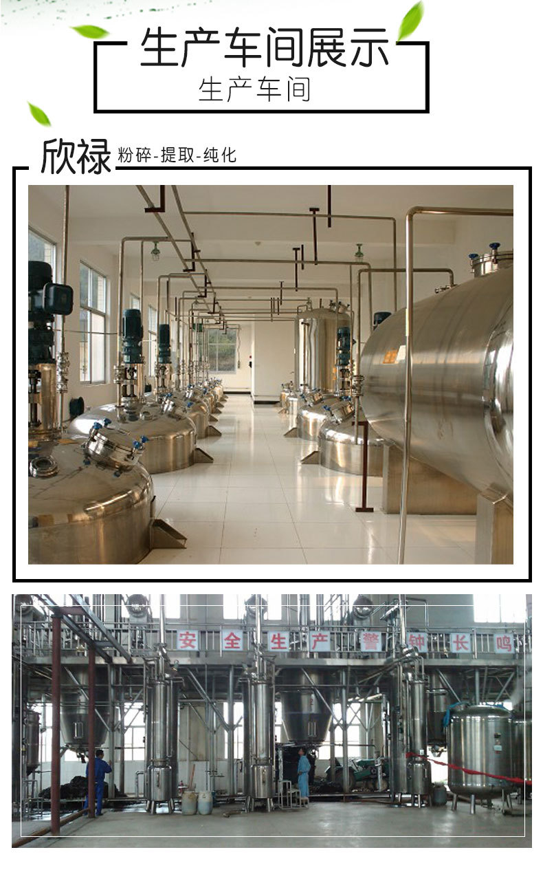 Wild 95% OPC Proanthocyanidins Grape Seed Extract Powder in Stock