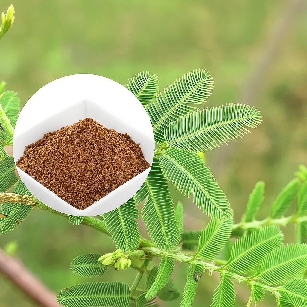 Natural Mimosa Extract Powder Purity Herbal Supplement for Health Food Cosmetic Industry Bulk Supply OEM ODM