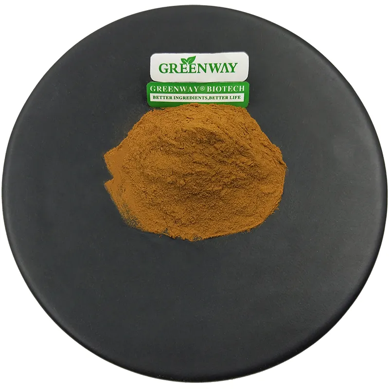 Bacopa Monnieri Extract Specification