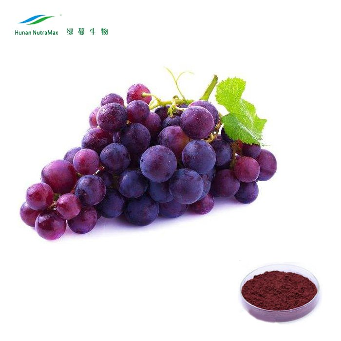 Natural Antioxidant 20% 30% Polyphenols Grape Red Wine Extract Powder for Nutraceuticals