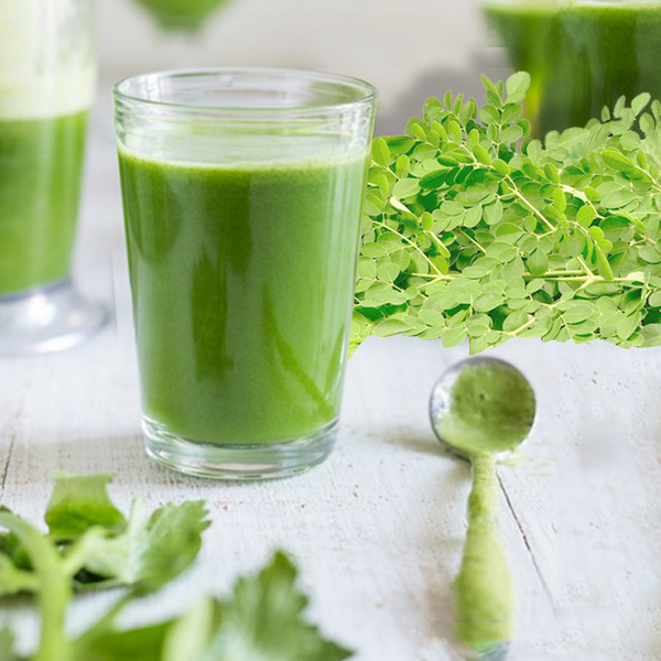 Moringa Leaf Extract Powder Moringa Oleifera Extract Moringa Leaf Powder for Health Care Product