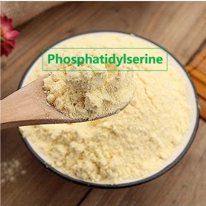 Wholesale Price Standardized Botanical 50% Soybean Extract Phosphatidylserine Powder