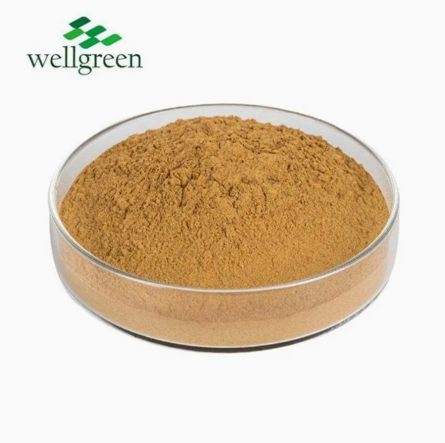 Standardized Oyster Mushroom Extract for Immune &amp; Metabolic Health Support (Pleurotus Ostreatus Extract)