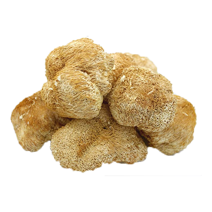 Lions Mane Capsules Lion's Mane Mushroom Extract Lions Mane Extract Powder 665mg in Stock