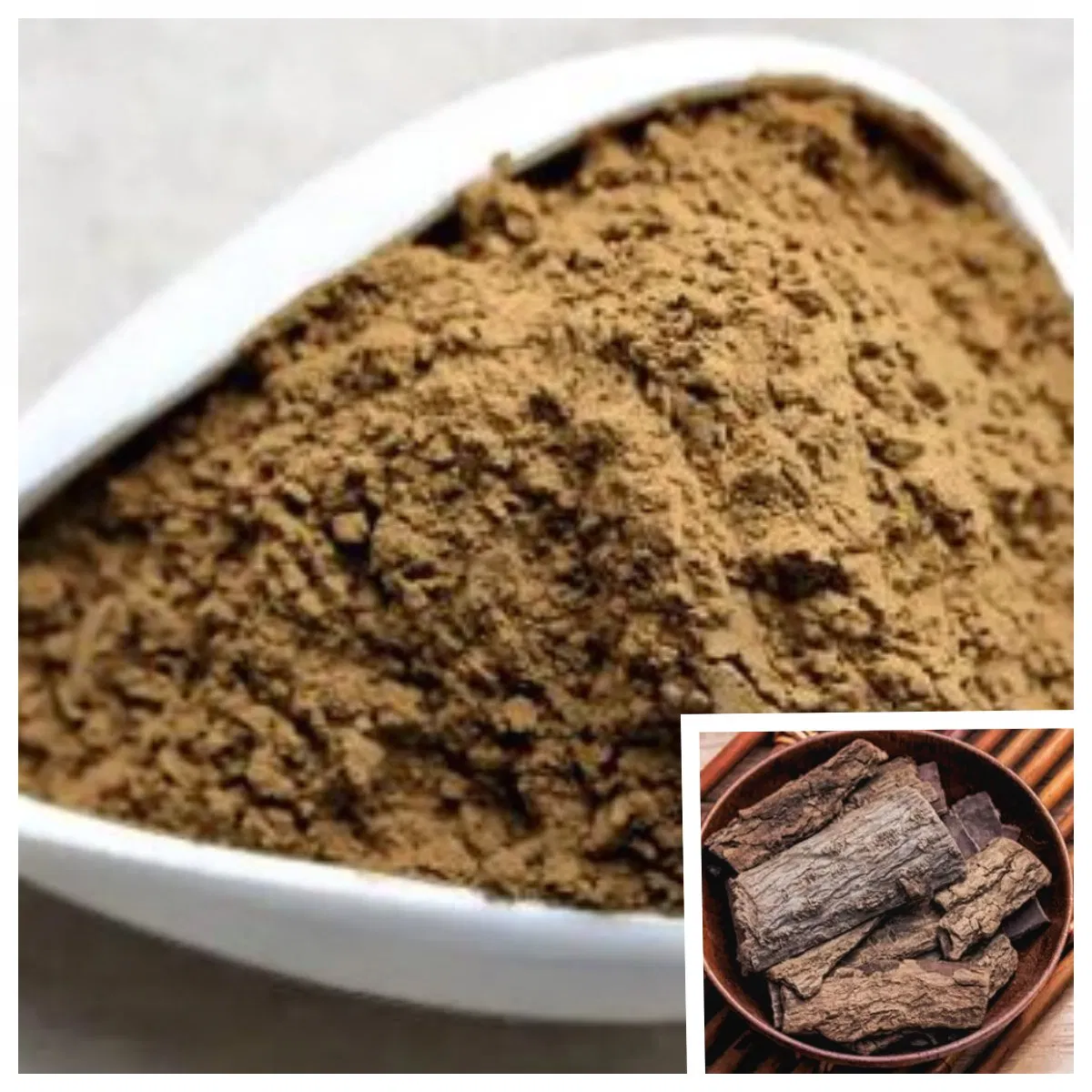 Natural Eucommia Ulmoides Bark Extract 5% 10% Chlorogenic Acid Plant Extract