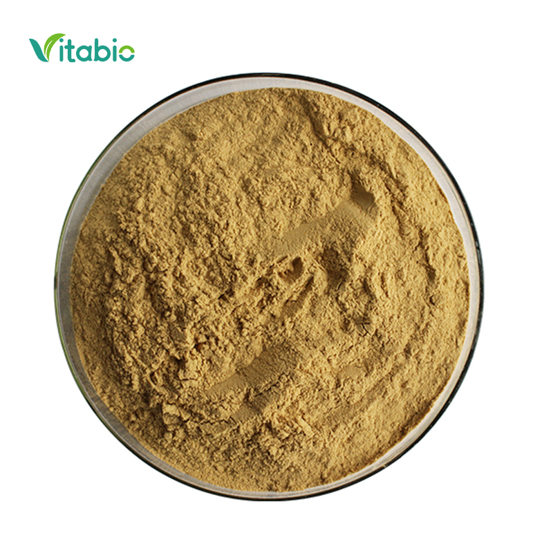 VITABIO Food Grade Rosemary Leaf Extract Herbal Extract Powder 5% 10% 98% Rosmarinic Acid Vacuum Packed