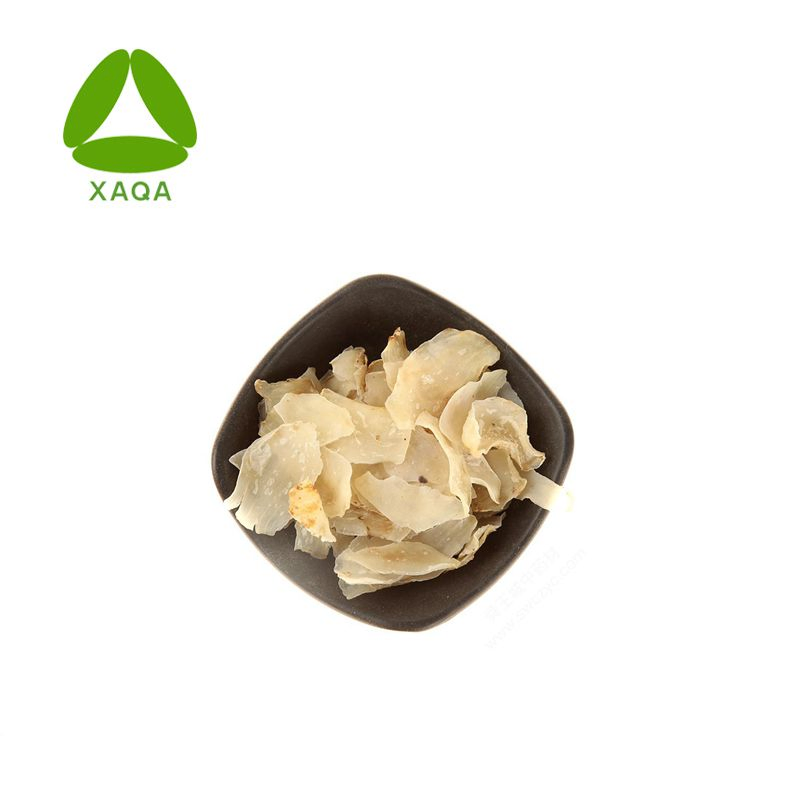 100% Natural Herbal Lily Bulb Extract Powder