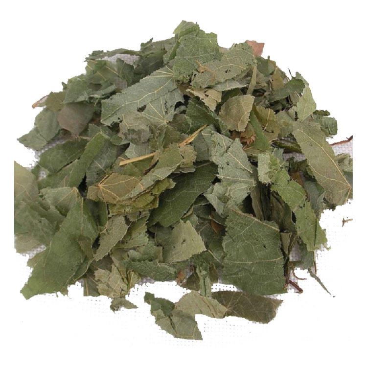 25 Years of Professional Plant Extraction Factory Direct Sales Epimedium Extract