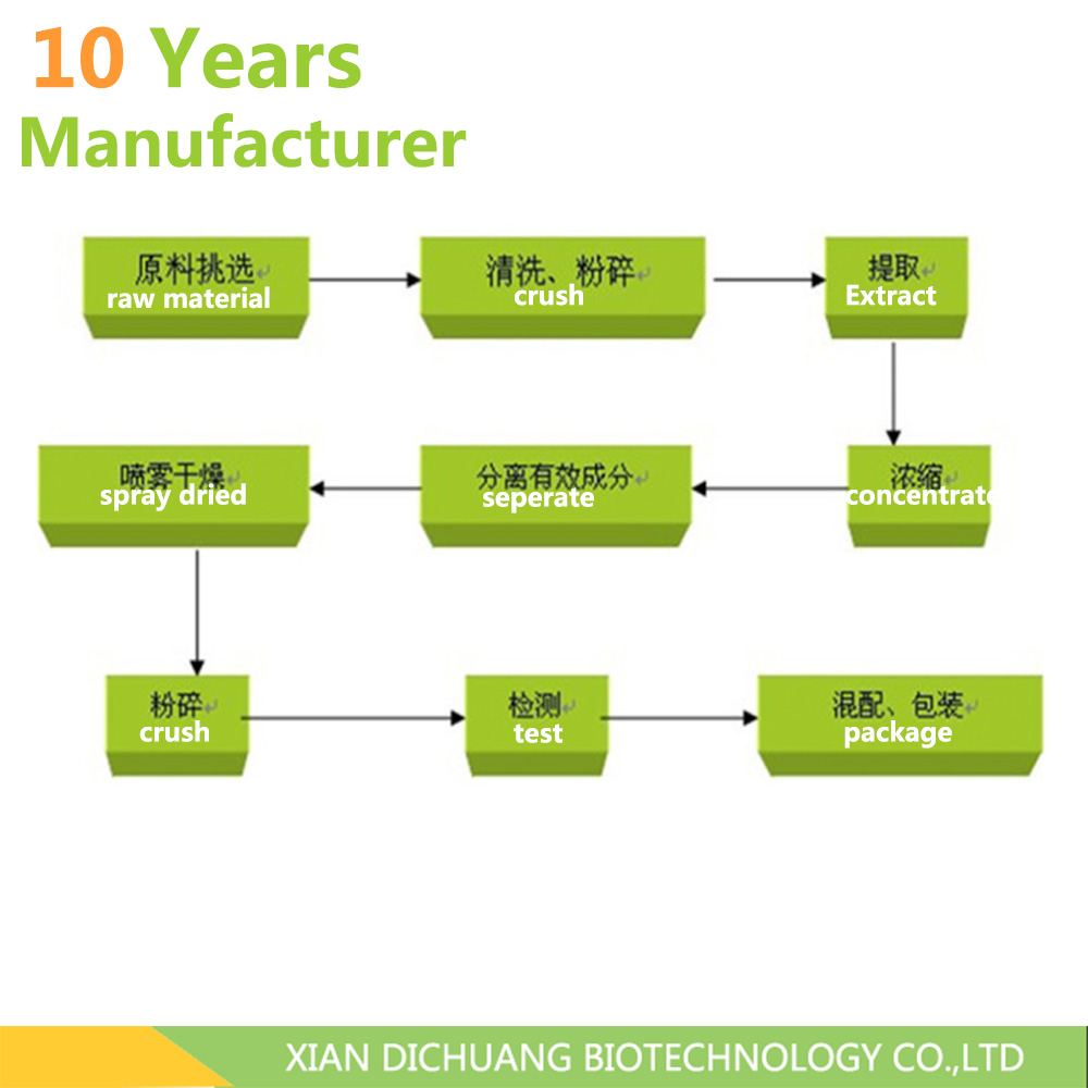 Natural Saponaria Extract 10:1 Saponaria Officinalis Root Extract Powder Saponaria Officinal Linn Extract