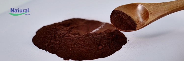 Pygeum Africanum Extract Banner