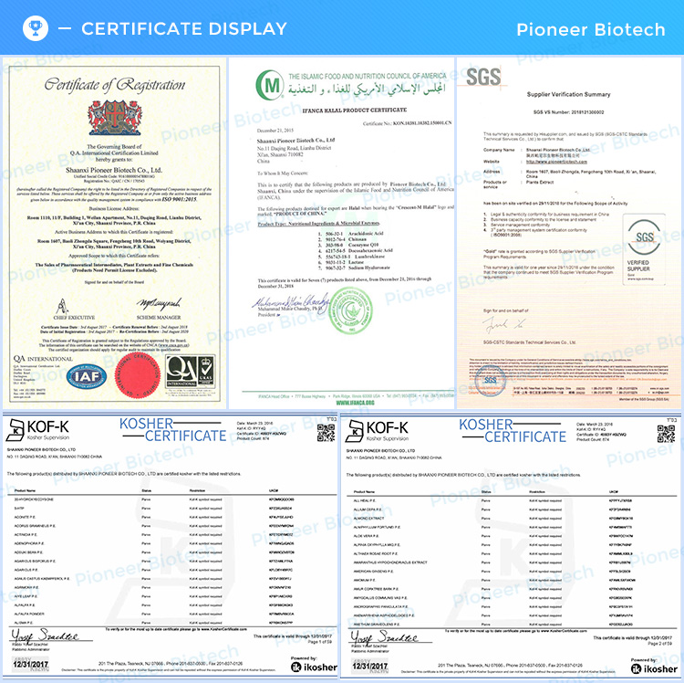 Factory Bulk Supply 95% Grape Seed Extract Powder 84929-27-1