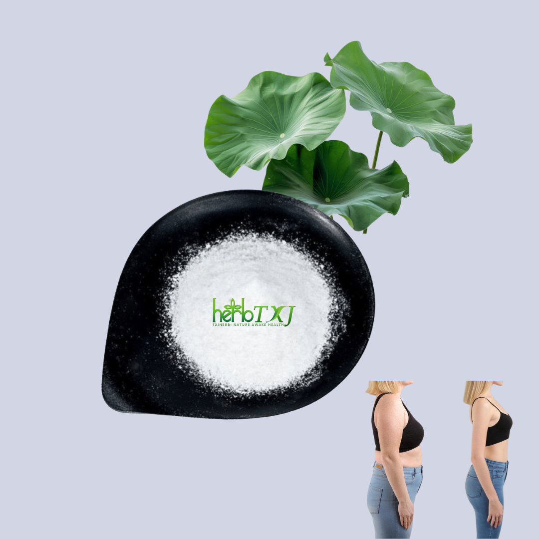 High Quality Pure Natural Lotus Leaf Extract Powder 98% Nuciferine Powder
