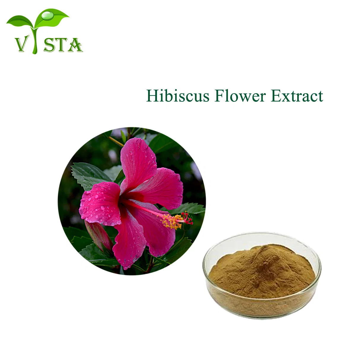 High Quality Plant Extract 5% 10% 20% Anthocyanidins Powder Roselle Extract Hibiscus Sabdariffa Flower Extract