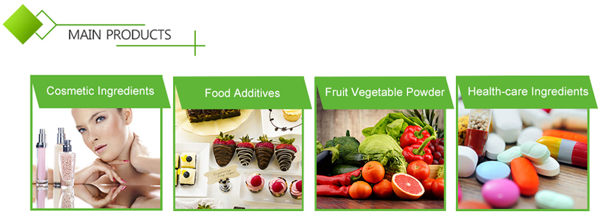 Forskolin Coleus Forskohlii Root Extract Powder Food Grade Herbal Extract HPLC Tested Drum Packaging