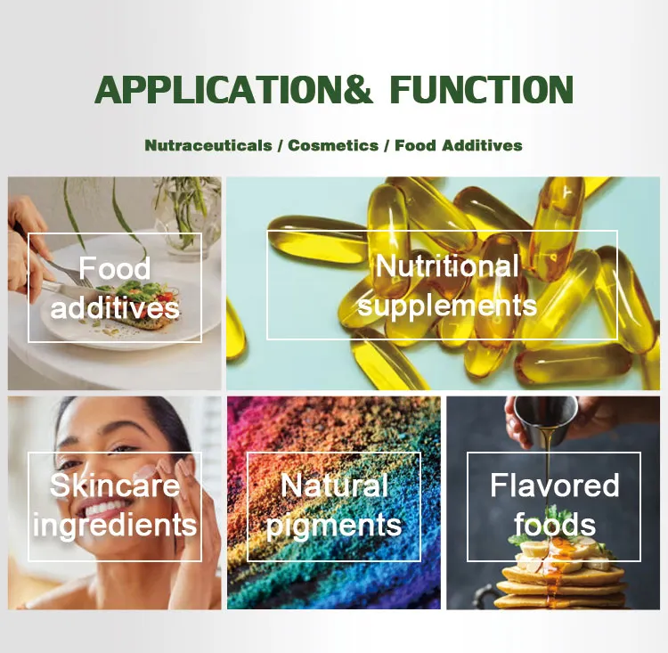 High Quality Nutraceuticals High 9-Cis 5% Beta-Carotene Extract From Dunaliella Salina