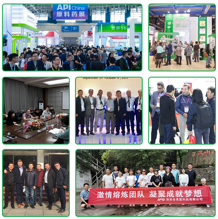 Our Exhibition