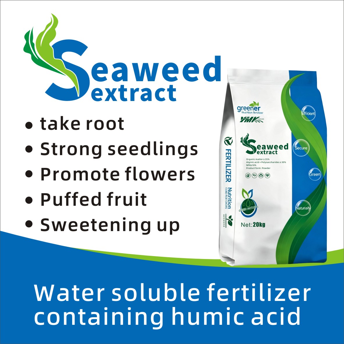 Marine Plant Extract Enzymatic Hydrolysis Seaweed Extract Powder and Granulated Fertilizer Scoop Eco Friendly Increase Yield