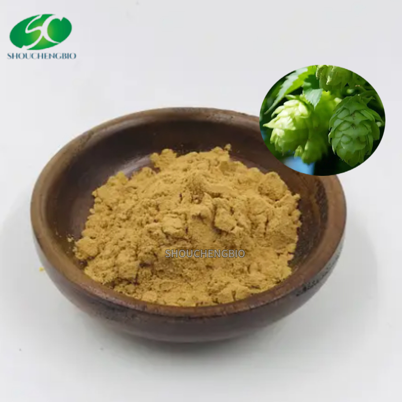 Natural Pure Hops Extract Hops Flower Extract