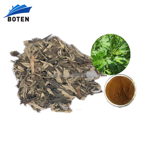 Supply Low Price Wormwood Leaf Extract Powder 4:1