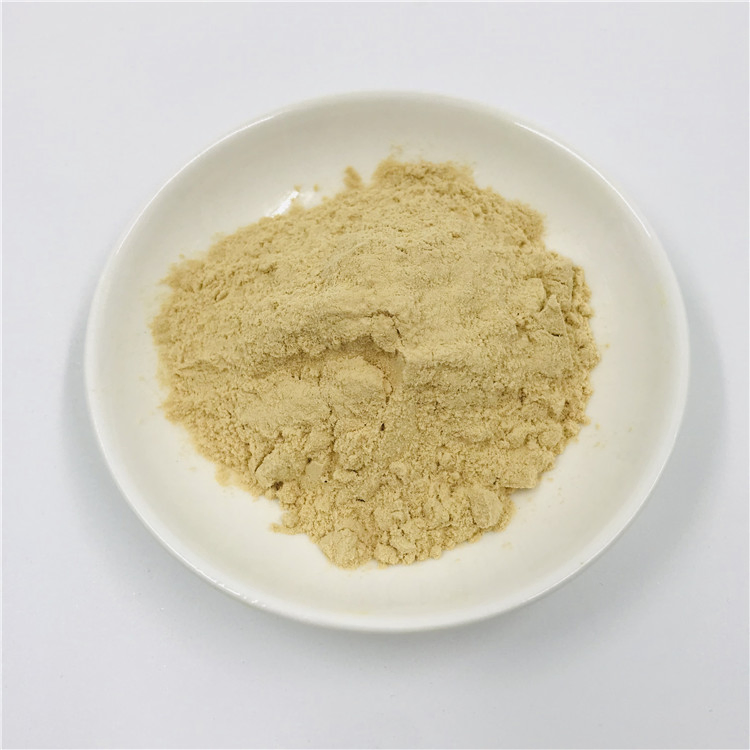 Natural Herbal Extract Sanchi Powder Notoginseng Total Saponins (Panax Notoginseng Folium Extract)
