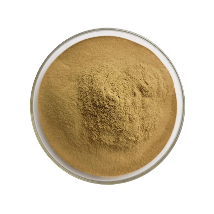 Water Soluble Cordyceps Sinensis Yarsagumba Extract Powder