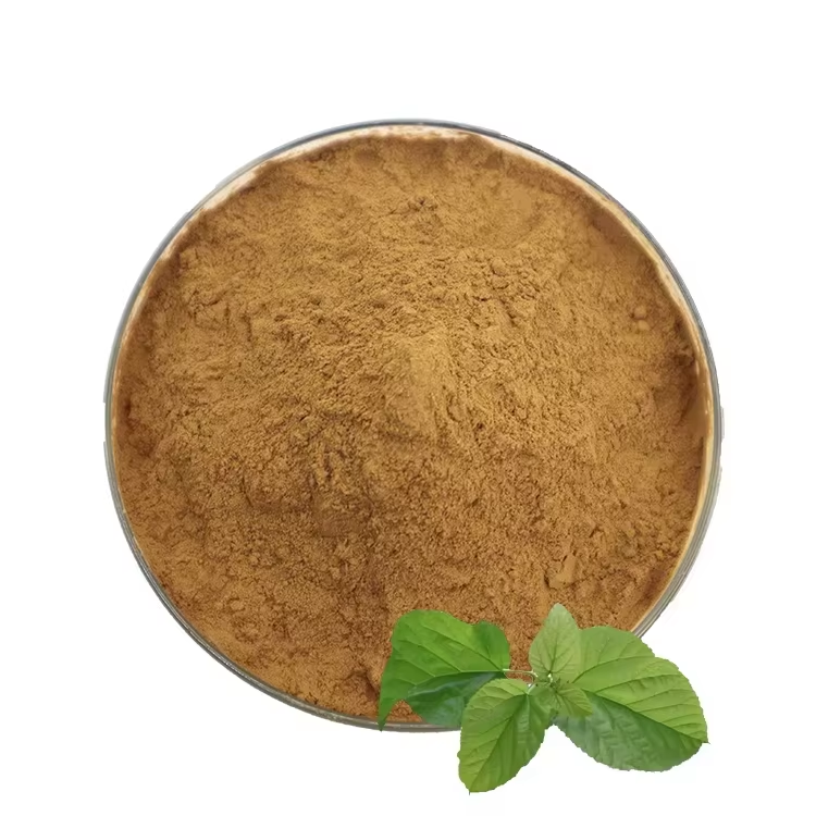 Natural White Herbal Leaf Extract Powder Solvent Extracted Food Grade Vacuum Packed in Drum