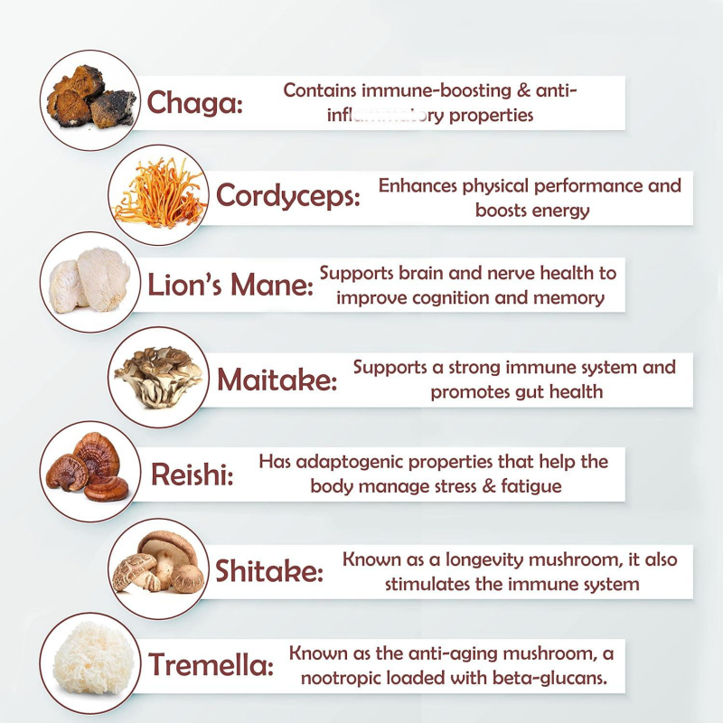 Nutritional 10 In1 Mushroom Complex Powder With Lions Mane, Reishi, Cordyceps, Chaga, Turkey Tail Mushroom Extract Powder