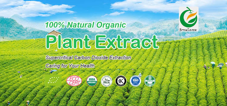 Maca Extract Banner
