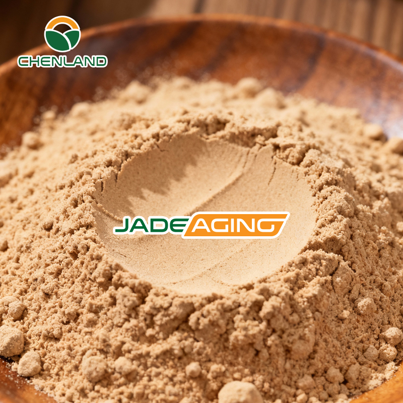Organic Herbal Extract Patent Formula JadeAging Ginseng Root Powder Food Grade Natural Ginsenosides Active Ingredient Saponins