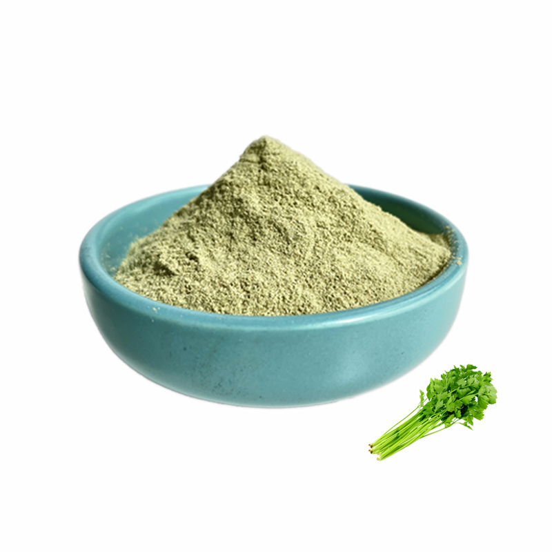 100% Natural Celery Extract Freeze Dried Vegetables Celery Extract Powder Celery Powder Factory Supply 98% Apigenin