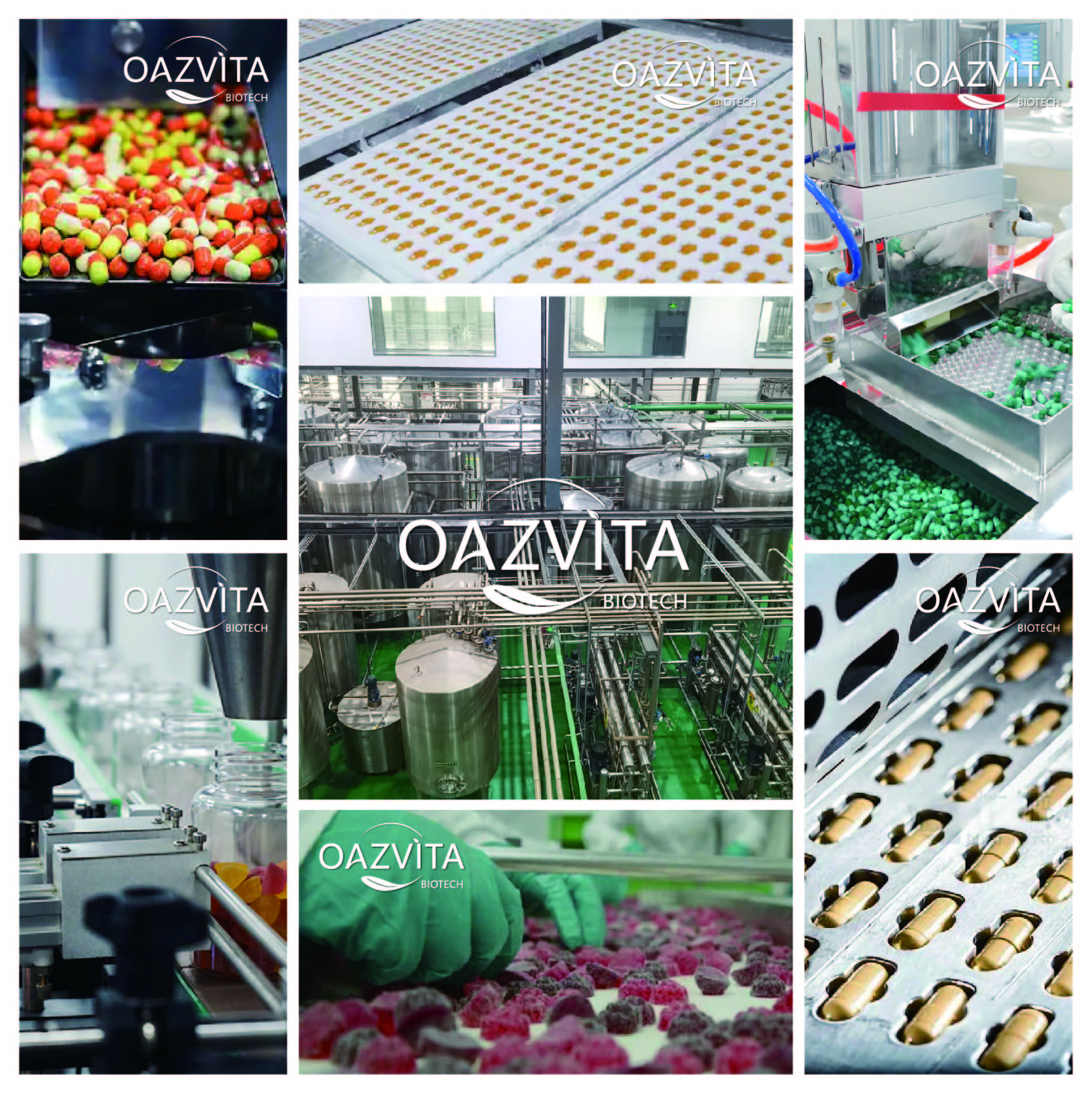 Bulk &amp; Custom Mimosa Root Extract Powder Adjustable Ratios 10:1 for Supplements Private Label