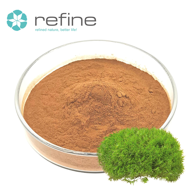 Hot Sale Lichen Usnea Extract Natural Botanical Supplement Ingredient for Cosmetic Application