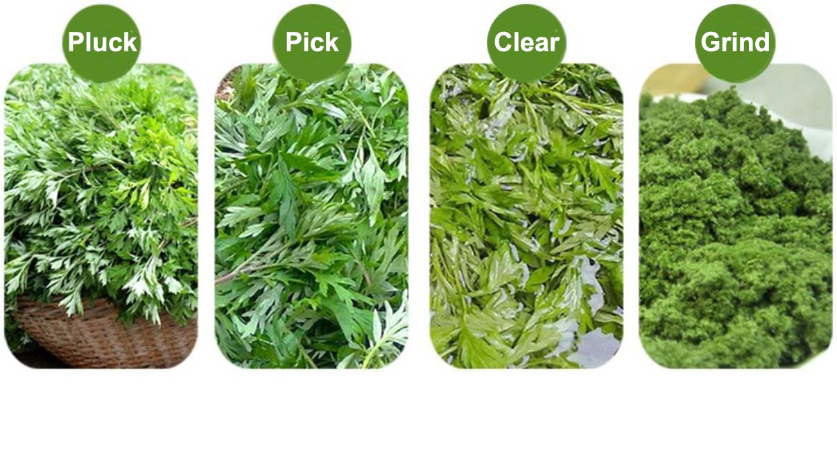 Wormwood Leaf Extract Powder