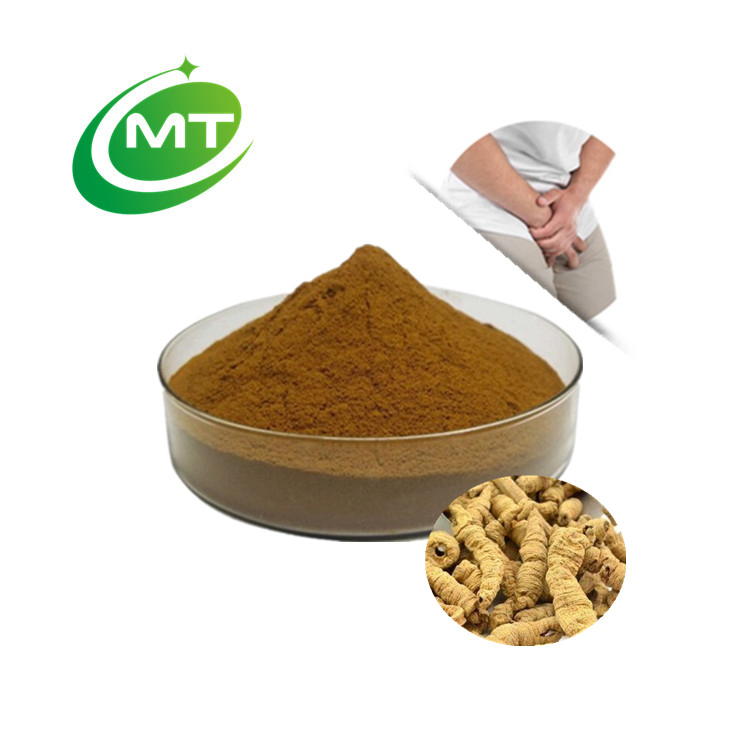 High Quality Free Sample Herbal Extract 10: 1 Organic Morinda Officinalis Extract Powder