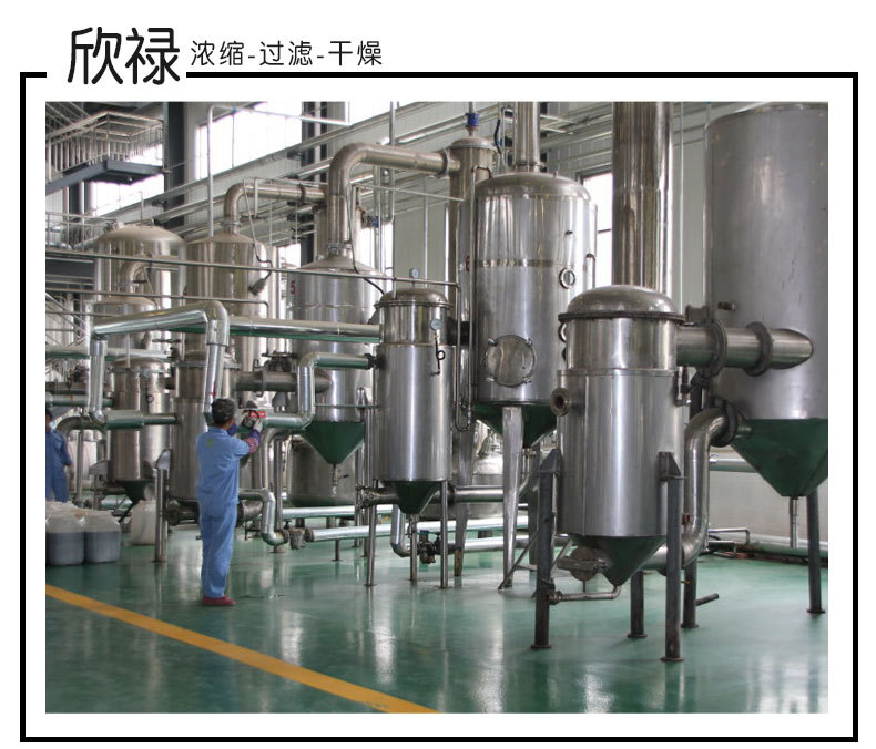 Wild 95% OPC Proanthocyanidins Grape Seed Extract Powder in Stock