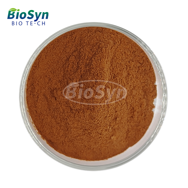 BioSyn Supply Food Grade Natural Rosemary Leaf Extract Powder 5% Rosmarinic Acid Powder