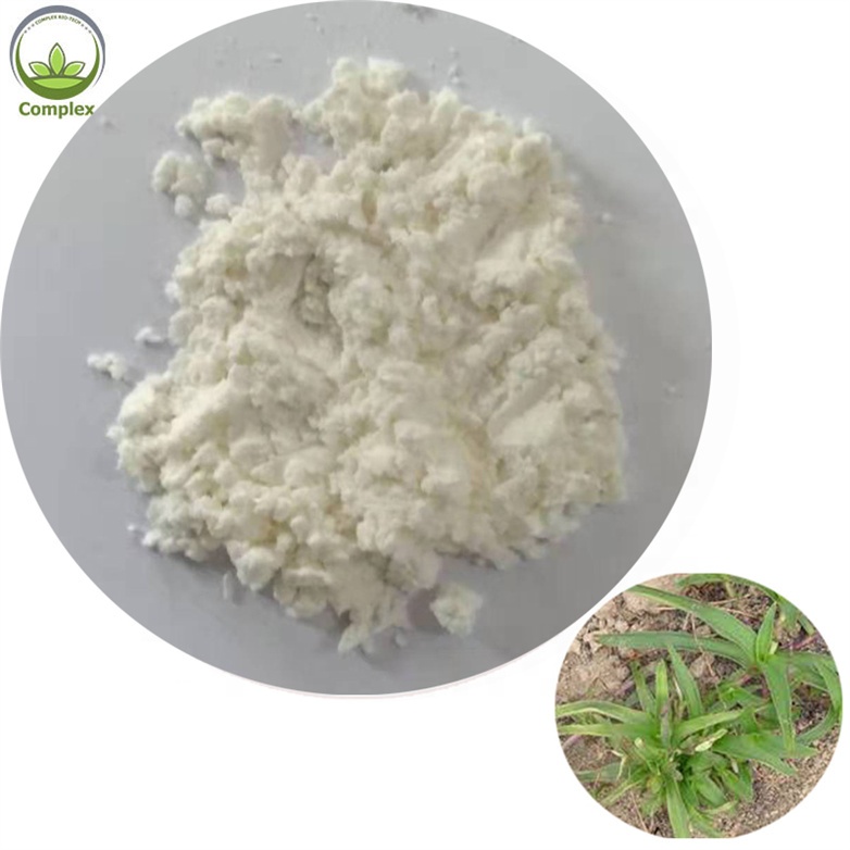 100% Pure Cyanotis Arachnoidea Roots Extract From Herb