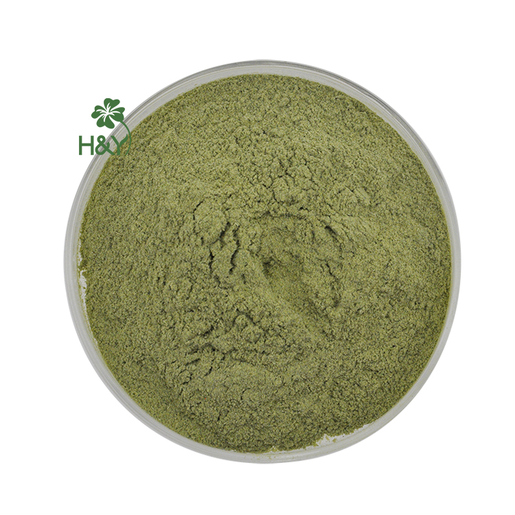 Factory Direct Sales Hot Selling Dried Okra Root Extract Powder Capsules