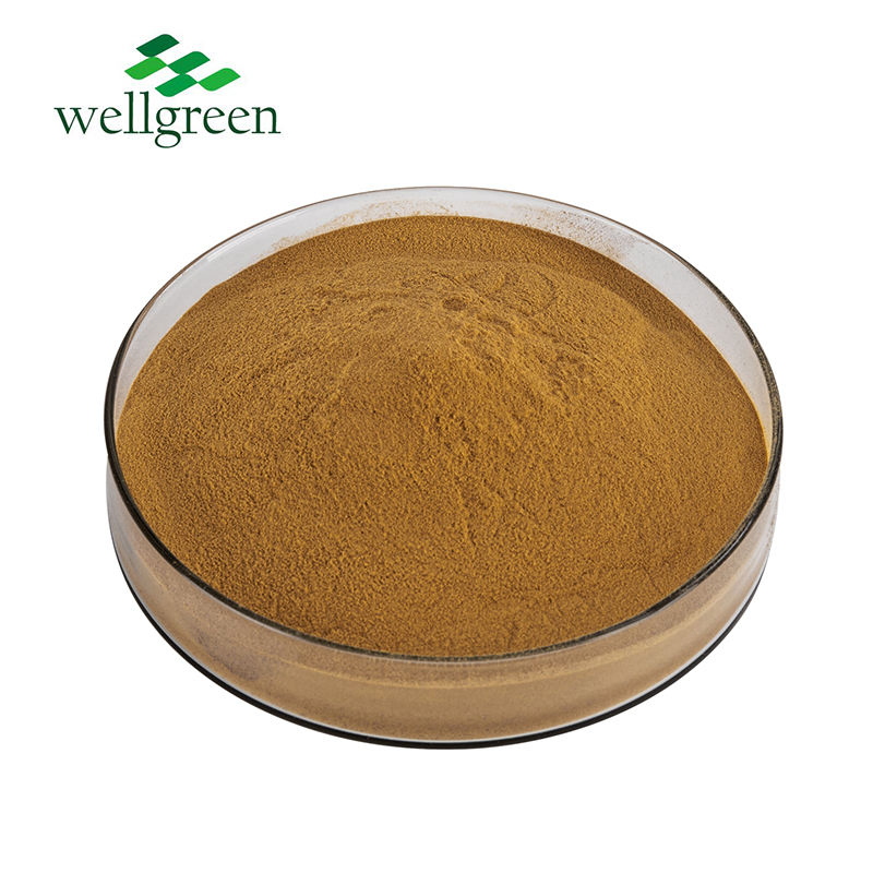 Factory Supply Chrysanthemum Indicum Flower Extract 10% Flavonoid Chrysanthemum Extract