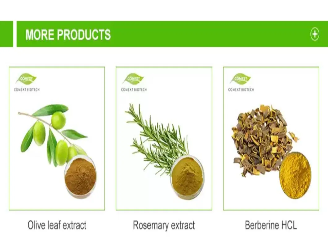 Key Product Hibiscus Flower Extract Anthocyanidins 5.0%~25% UV Free Sample