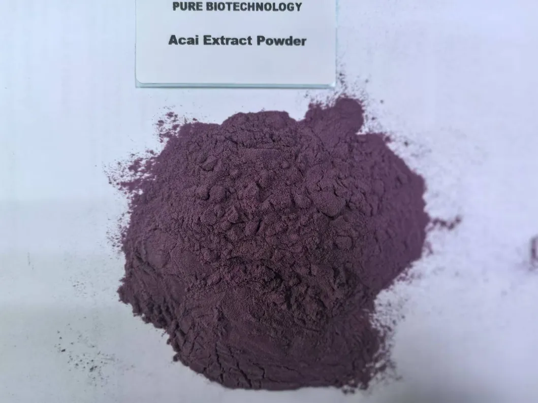 Acai Extract Powder: Organic Plant Extract for Nutraceutical Applications
