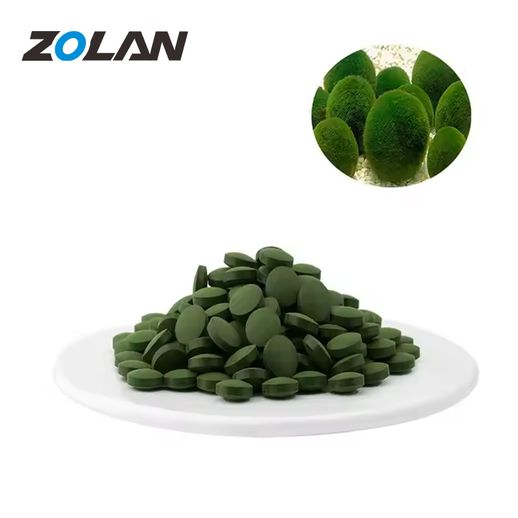 Spirulina Explanation