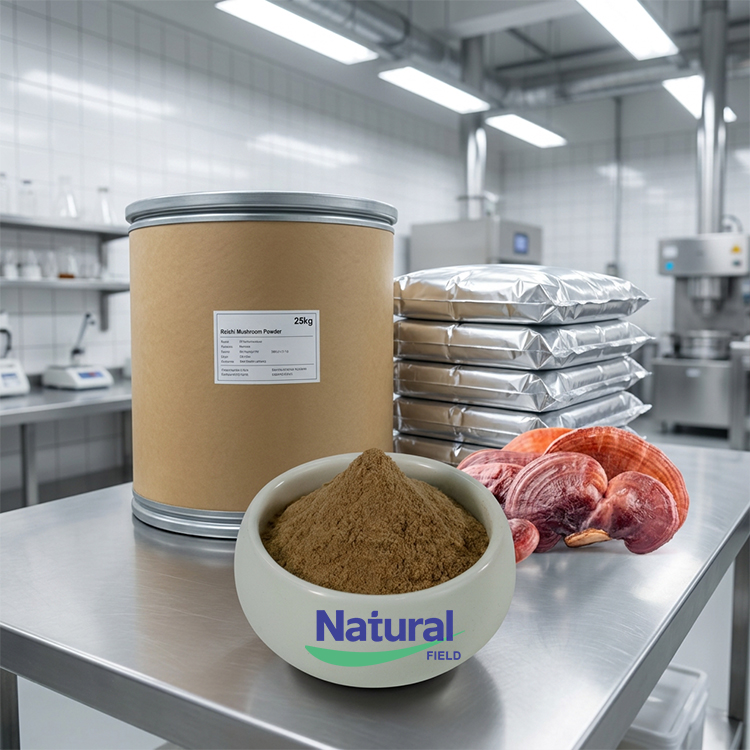 For Company Use EU Organic USDA Reishi Mushroom Extract Ganoderma Lucidum Extract Powder