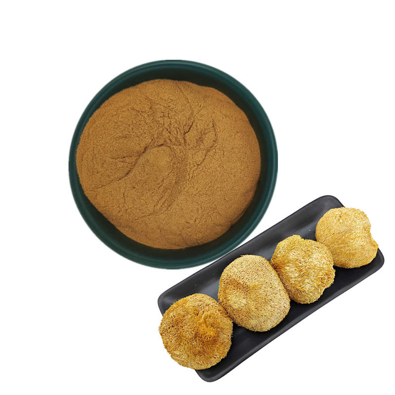 Lions Mane Capsules Organic Lions Mane Mushroom Extract