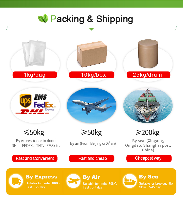 Forskolin Coleus Forskohlii Root Extract Powder Food Grade Herbal Extract HPLC Tested Drum Packaging